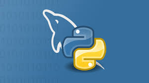 Python & MySQL Combo
